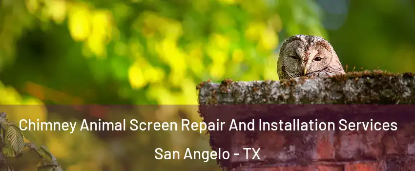 Chimney Animal Screen Repair And Installation Services San Angelo - TX