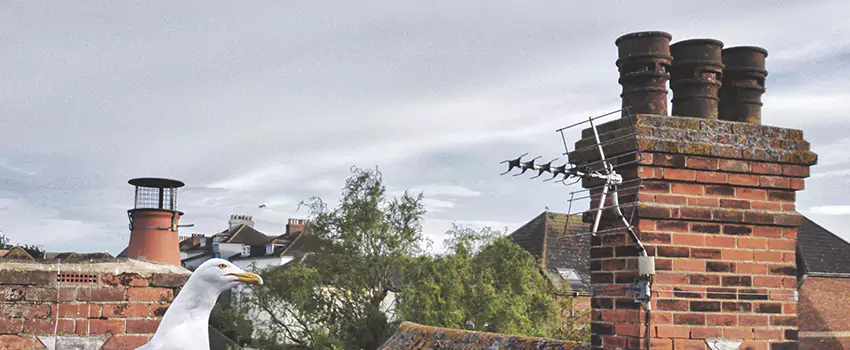 Chimney Cleaning And Restoration in San Angelo, Texas